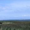 images/Schweden/Schweden 2009/IMG_4544.jpg